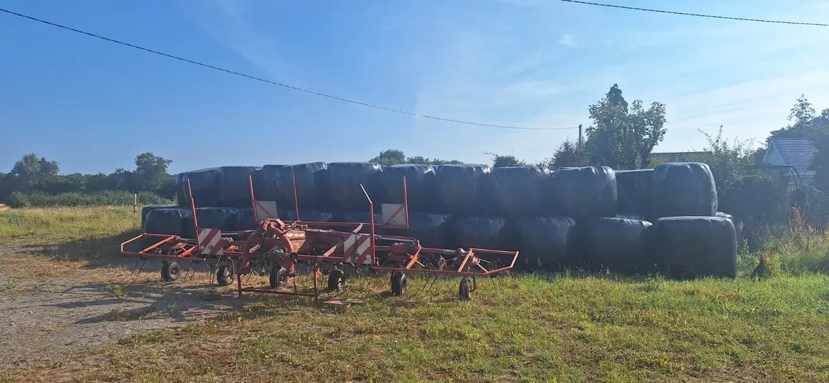 Silage for Sale - Image 2