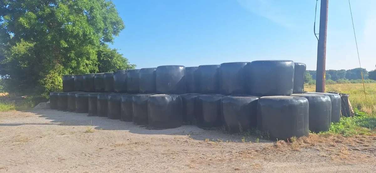 Silage for Sale - Image 1