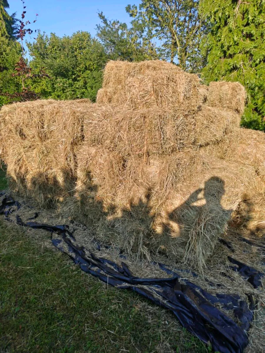 Square bales hay