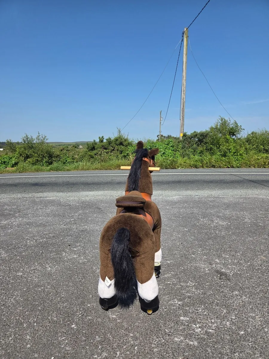 Pony cycle - Image 3