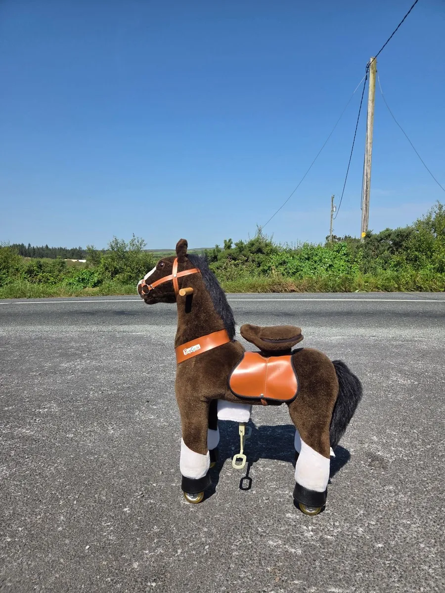 Pony cycle - Image 1