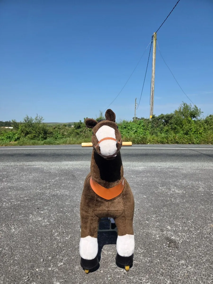 Pony cycle - Image 2