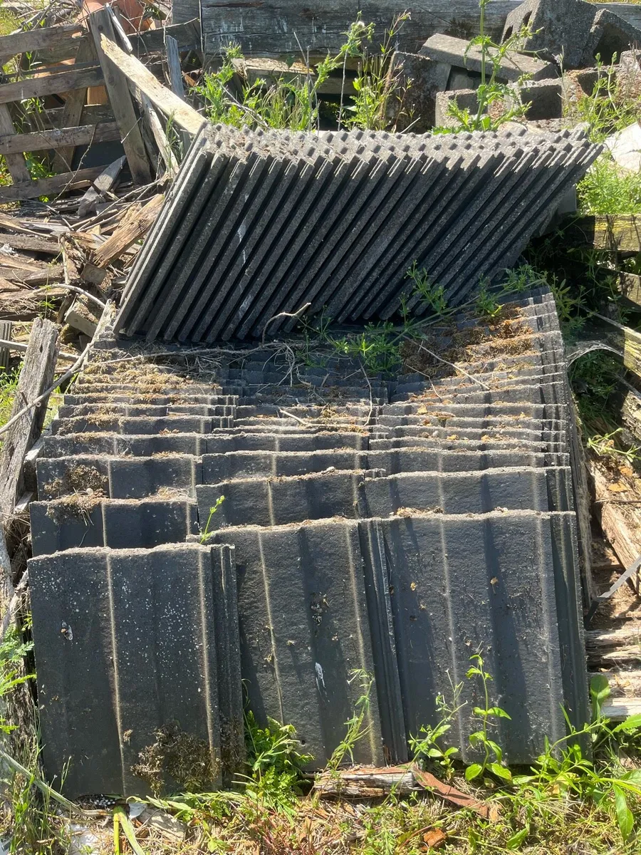 Roof tiles - Image 1