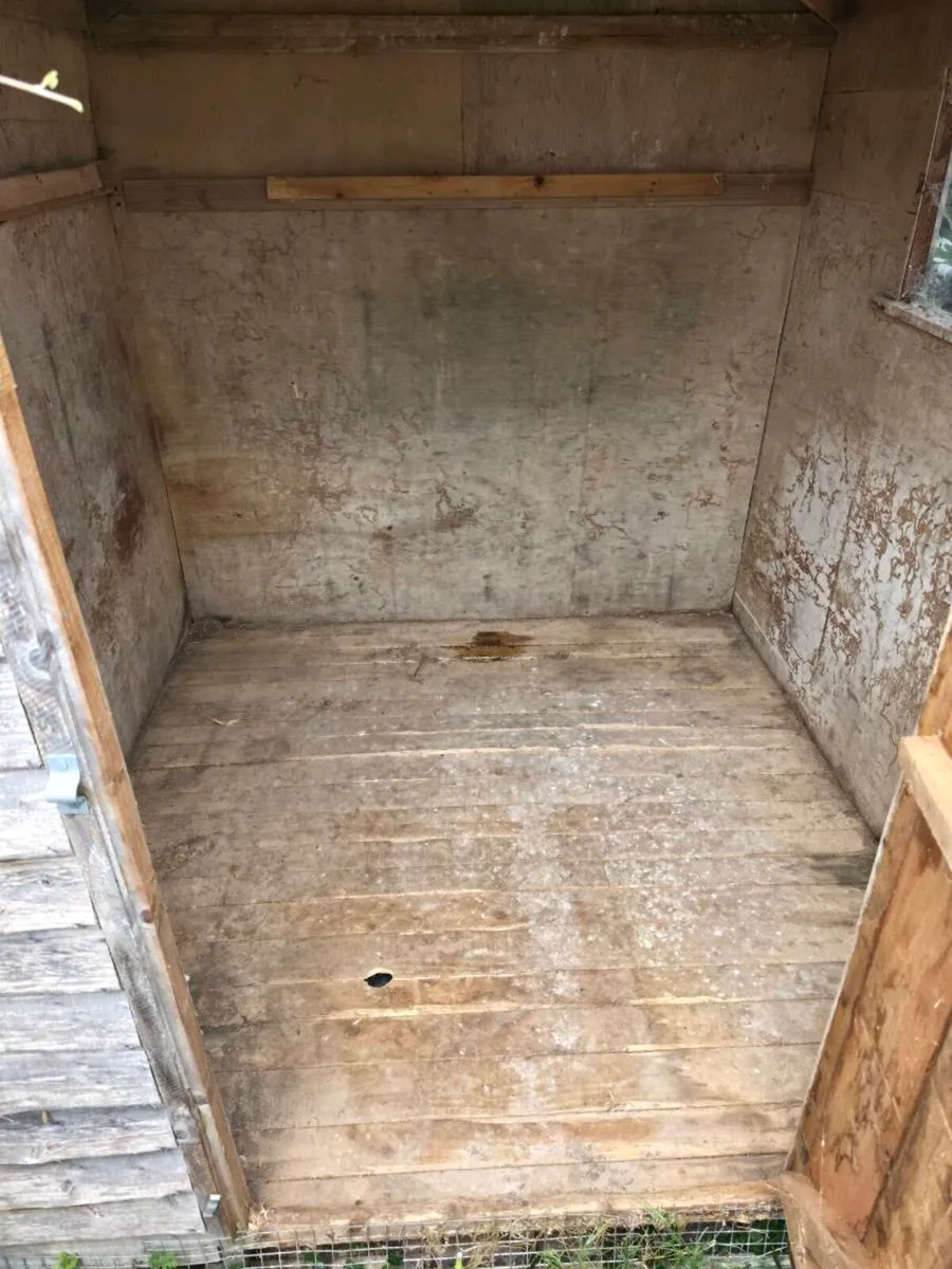 Free shed - Image 3