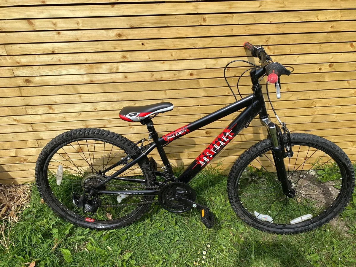 24” Kids Mountain Bike – Raleigh Airstrike – Shima - Image 3