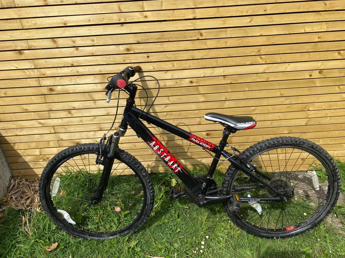 24” Kids Mountain Bike – Raleigh Airstrike – Shima - Image 1