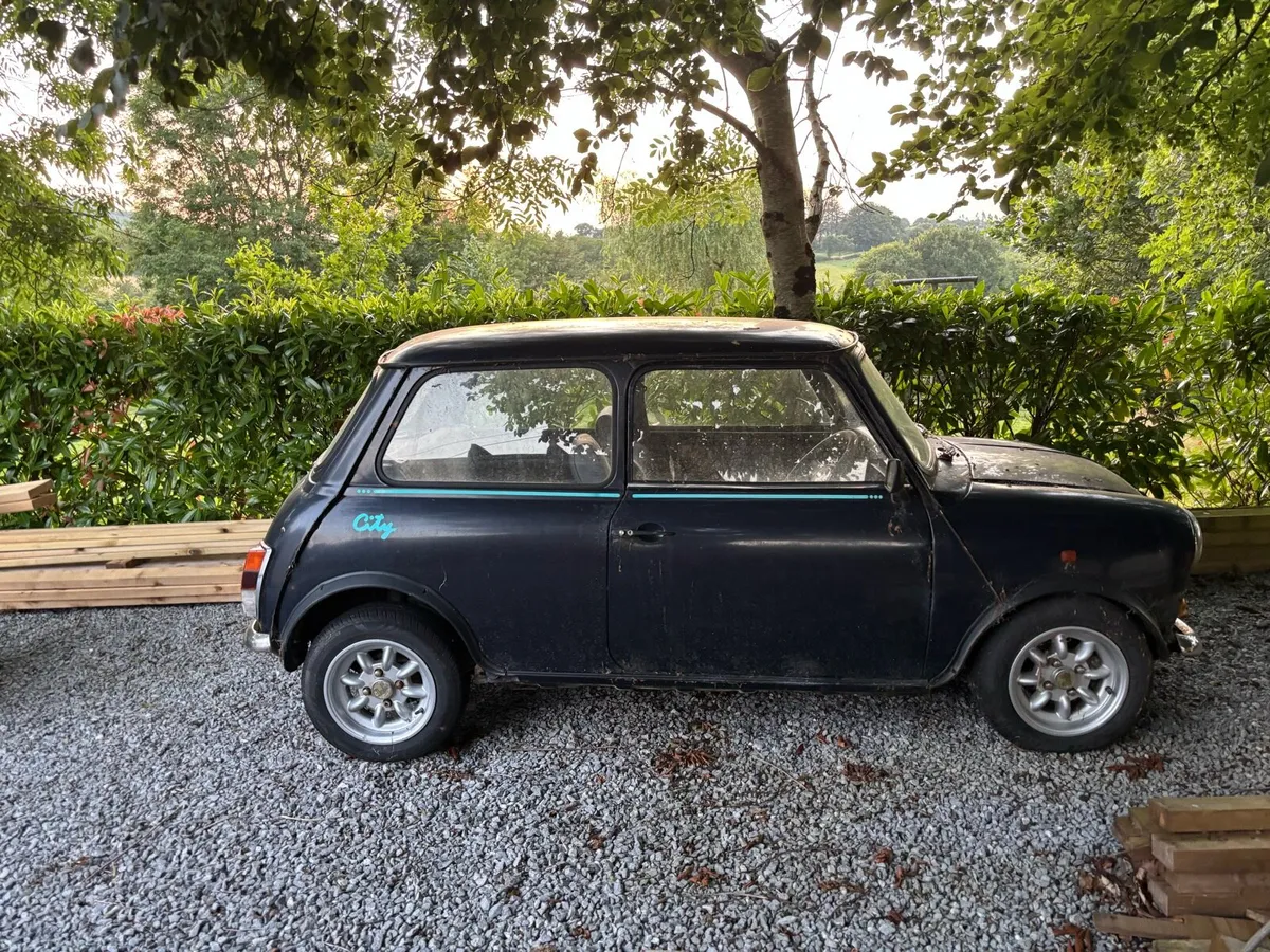 Austin mini - Image 2