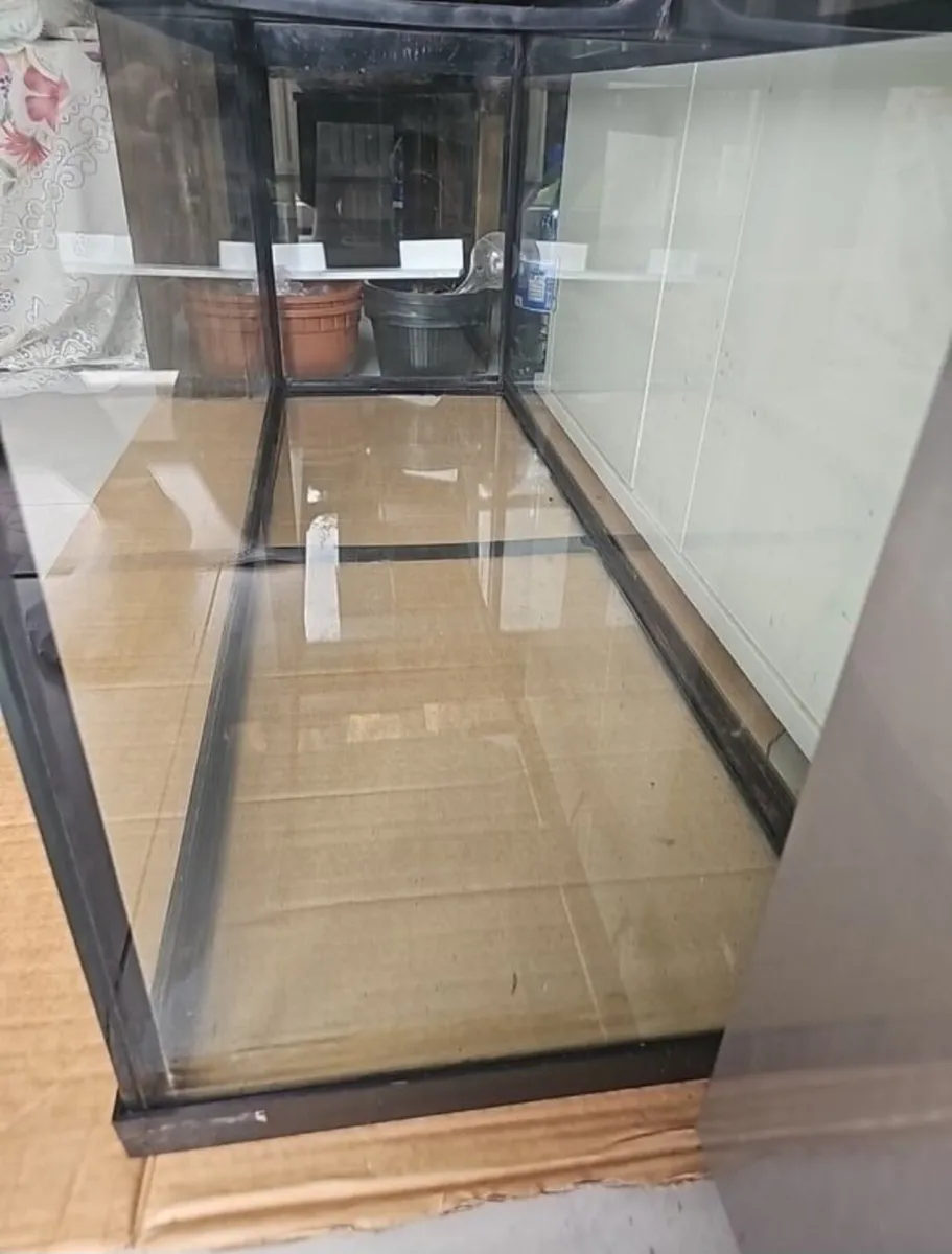 Fish tank - Image 2