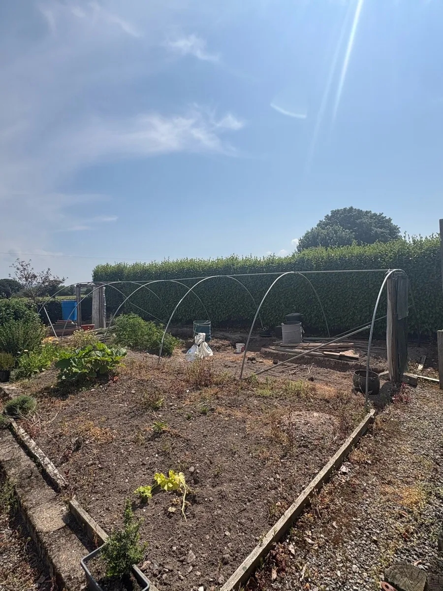 Polytunnel Frame - Image 1