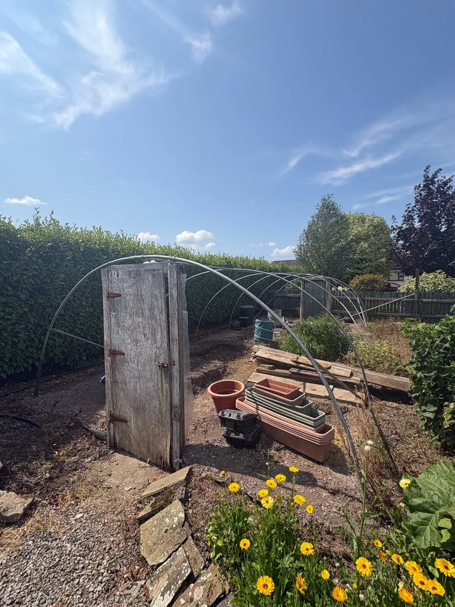 Polytunnel Frame - Image 2