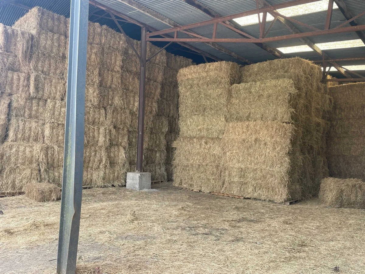 2025 Horse Hay for sale - Image 1