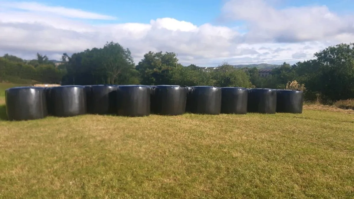 Silage bales - Image 1