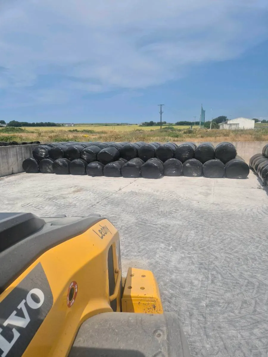Hay silage straw maize - Image 2