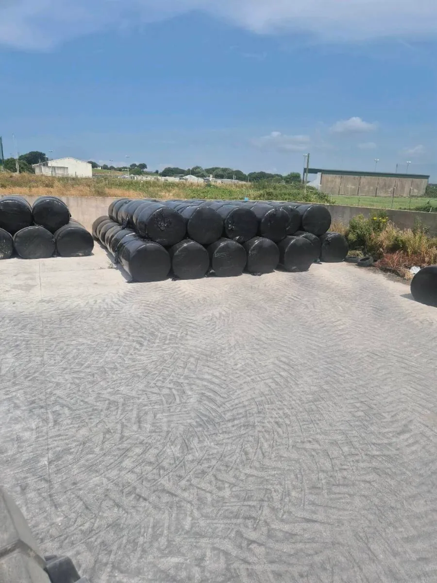 Hay silage straw maize - Image 3
