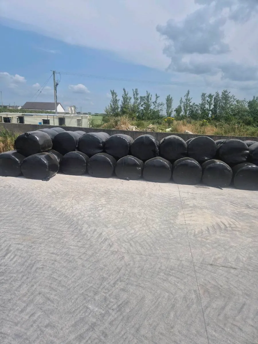 Hay silage straw maize - Image 1