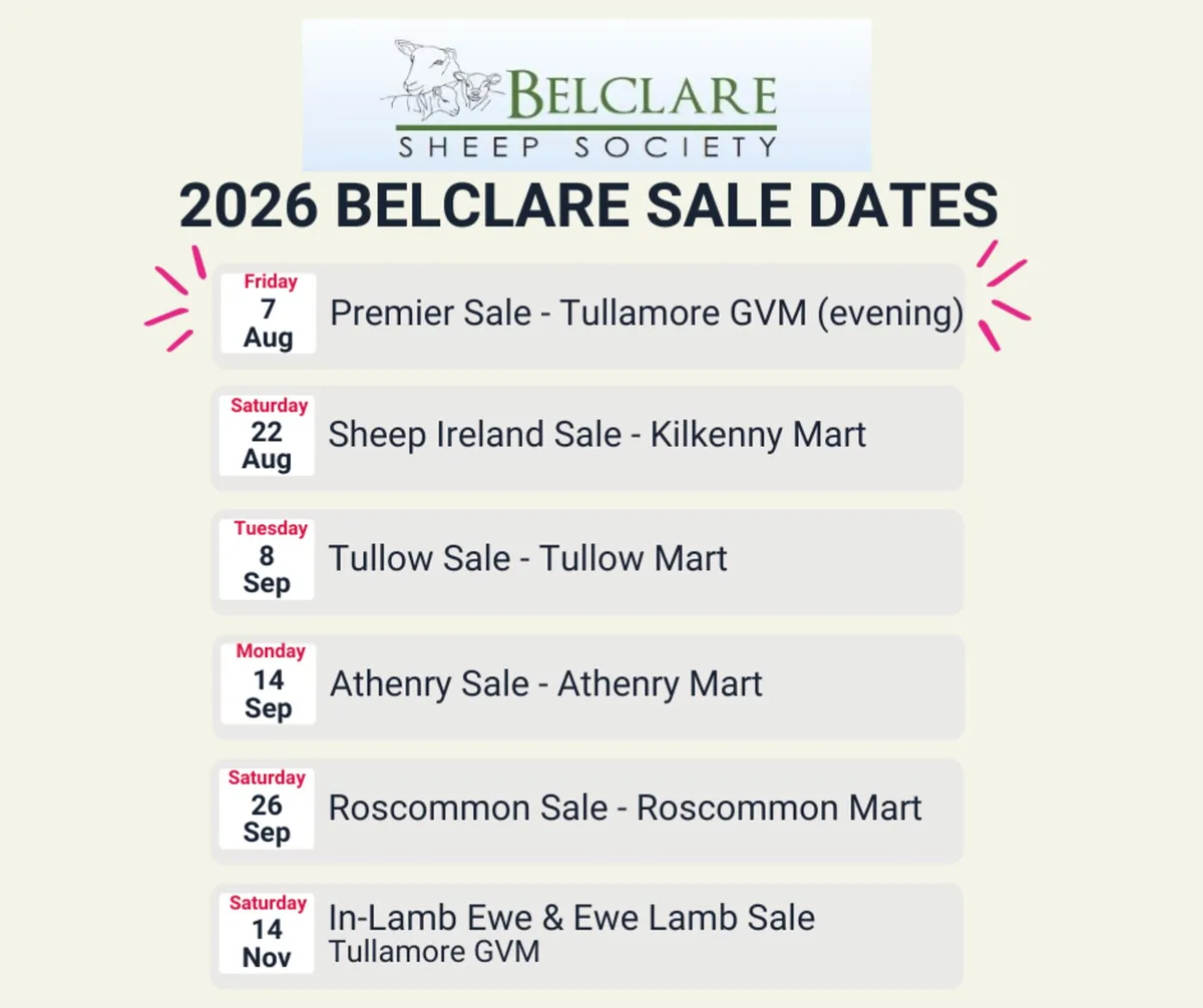 💥Belclare Premier Sale 7th August💥 - Image 2