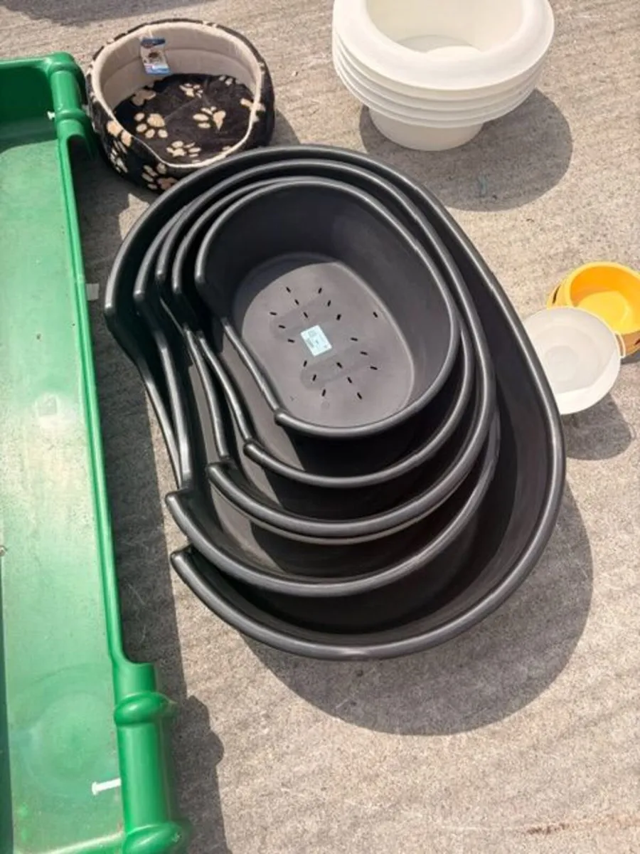 Plastic Dog Bed - Image 2