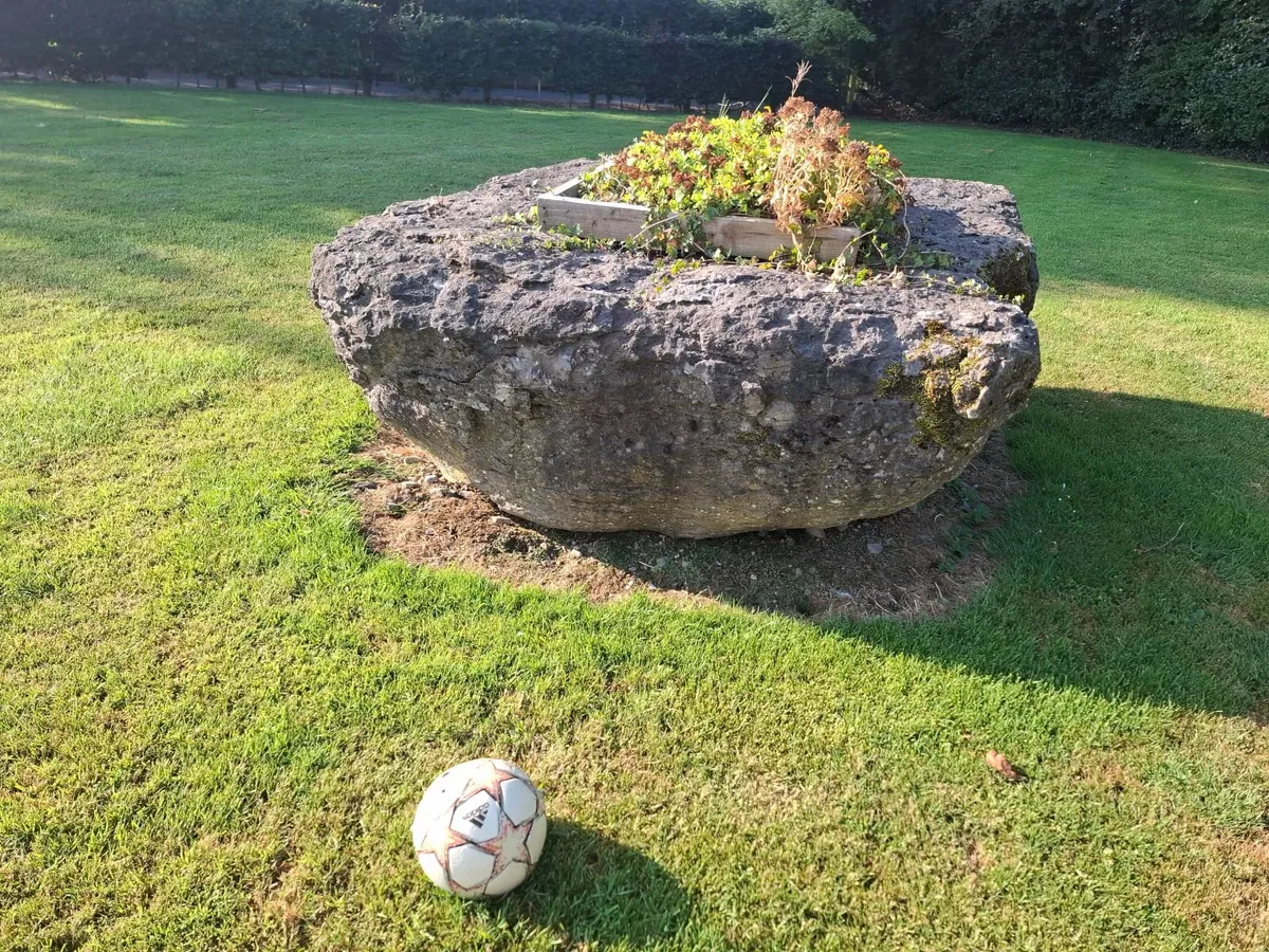 Garden Rock - Image 1