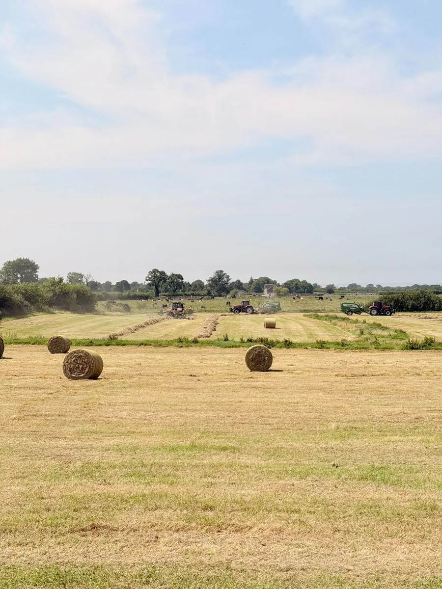 Hay & Haylage - Image 1
