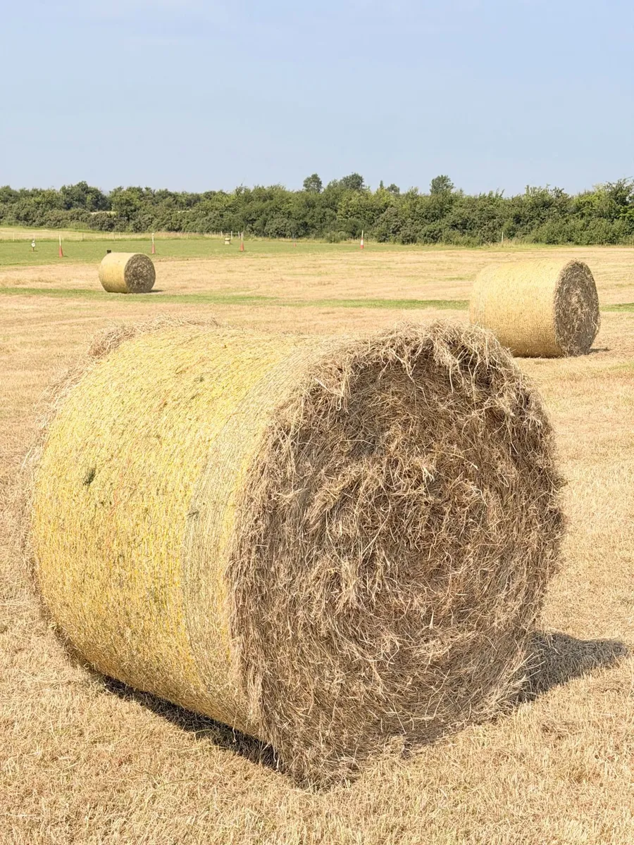 Hay & Haylage - Image 2