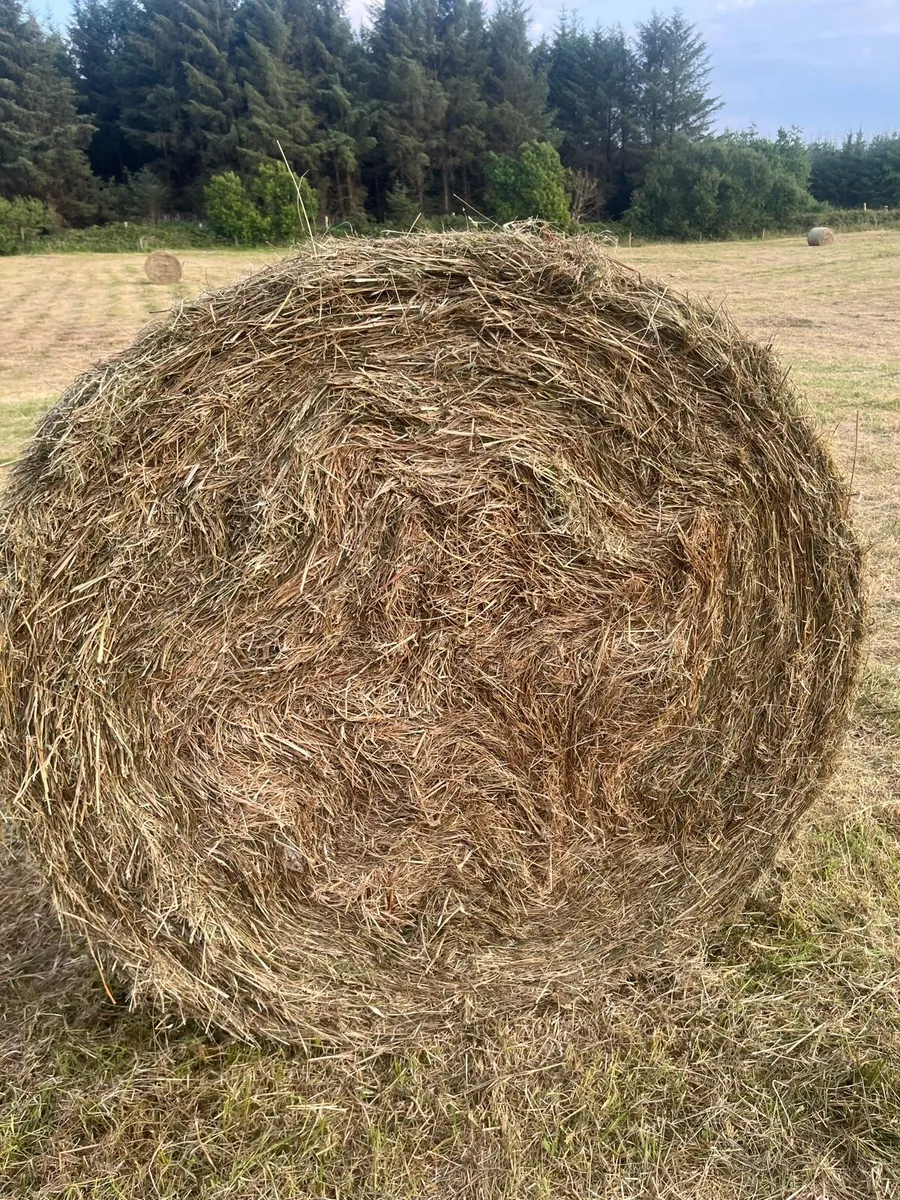Bales of bedding - Image 3