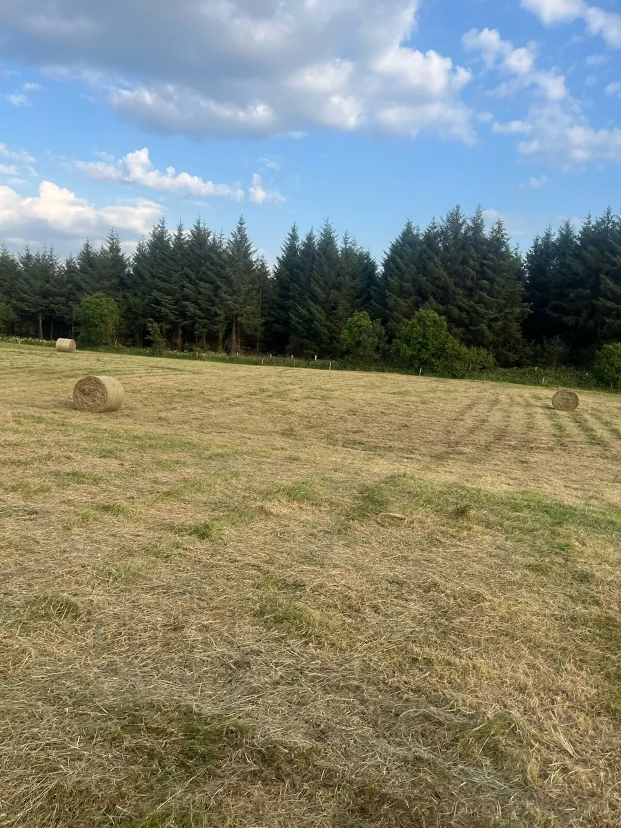 Bales of bedding - Image 4
