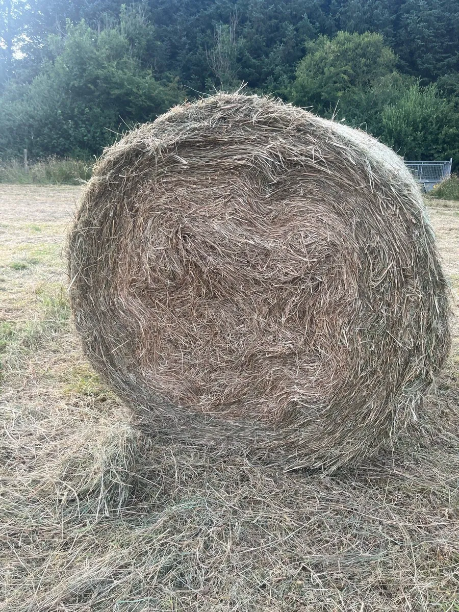 Bales of bedding - Image 1