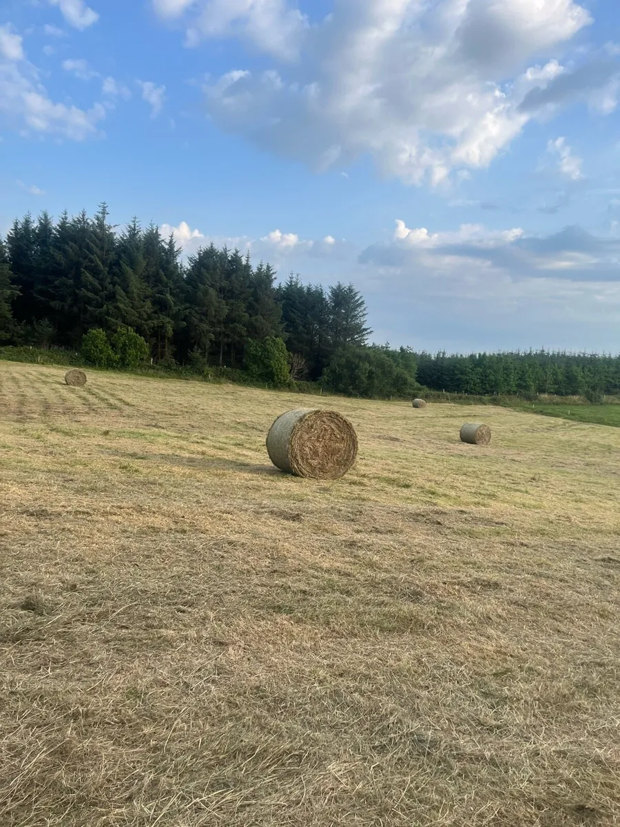 Bales of bedding - Image 2