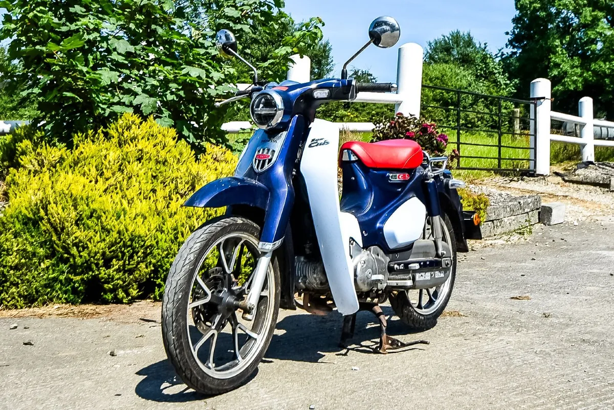 2019 Honda 125 Supercub - Image 2