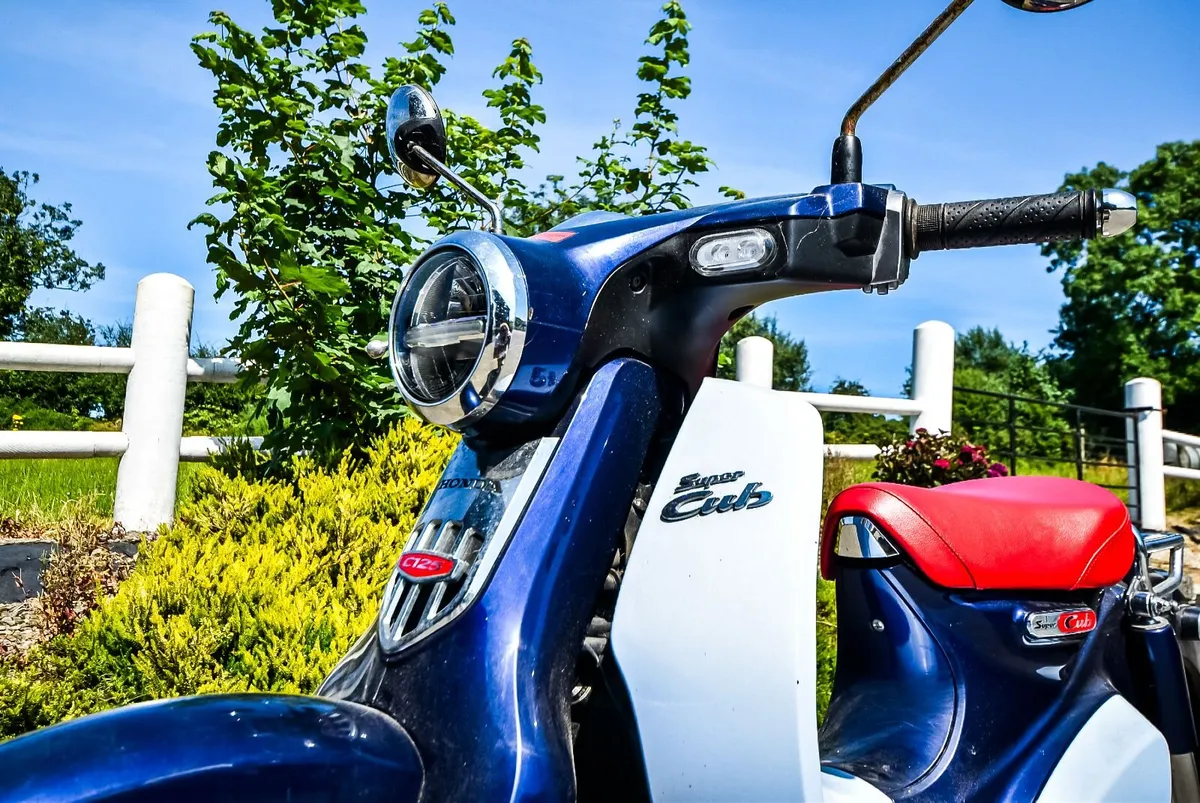 2019 Honda 125 Supercub - Image 3