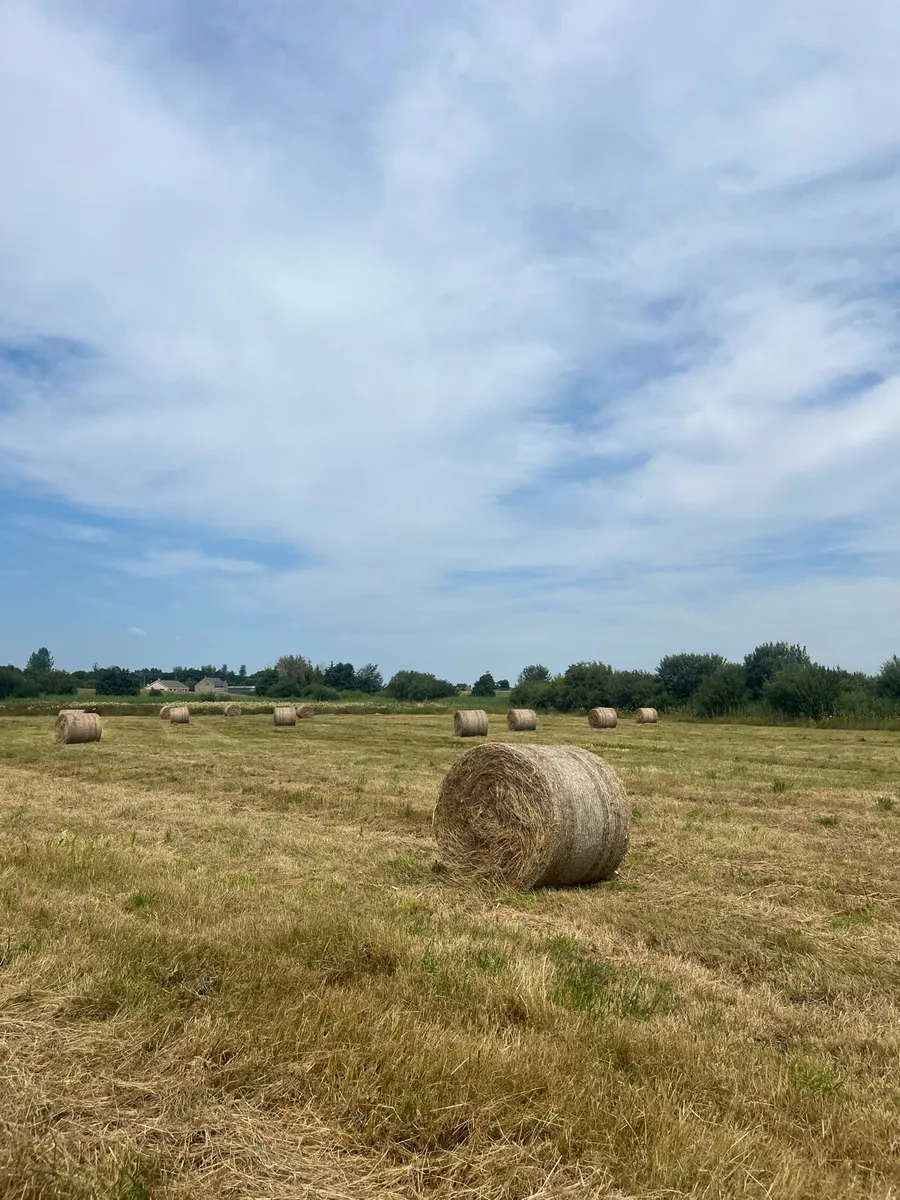 Hay bales - Image 2
