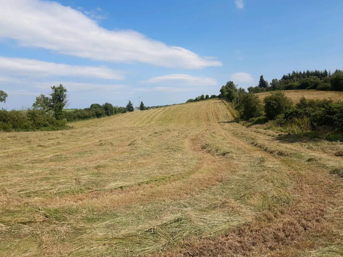 Silage bales - Image 2