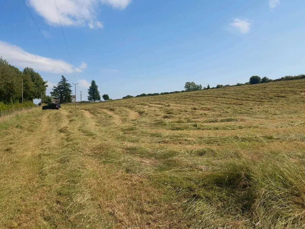 Silage bales - Image 3
