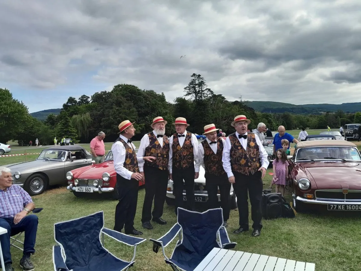 RIAC Picnic in The Park - MG - Ford - Fiat - Rover - Image 2