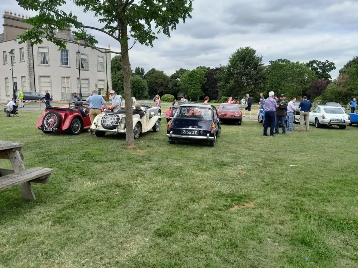 RIAC Picnic in The Park - MG - Ford - Fiat - Rover - Image 3