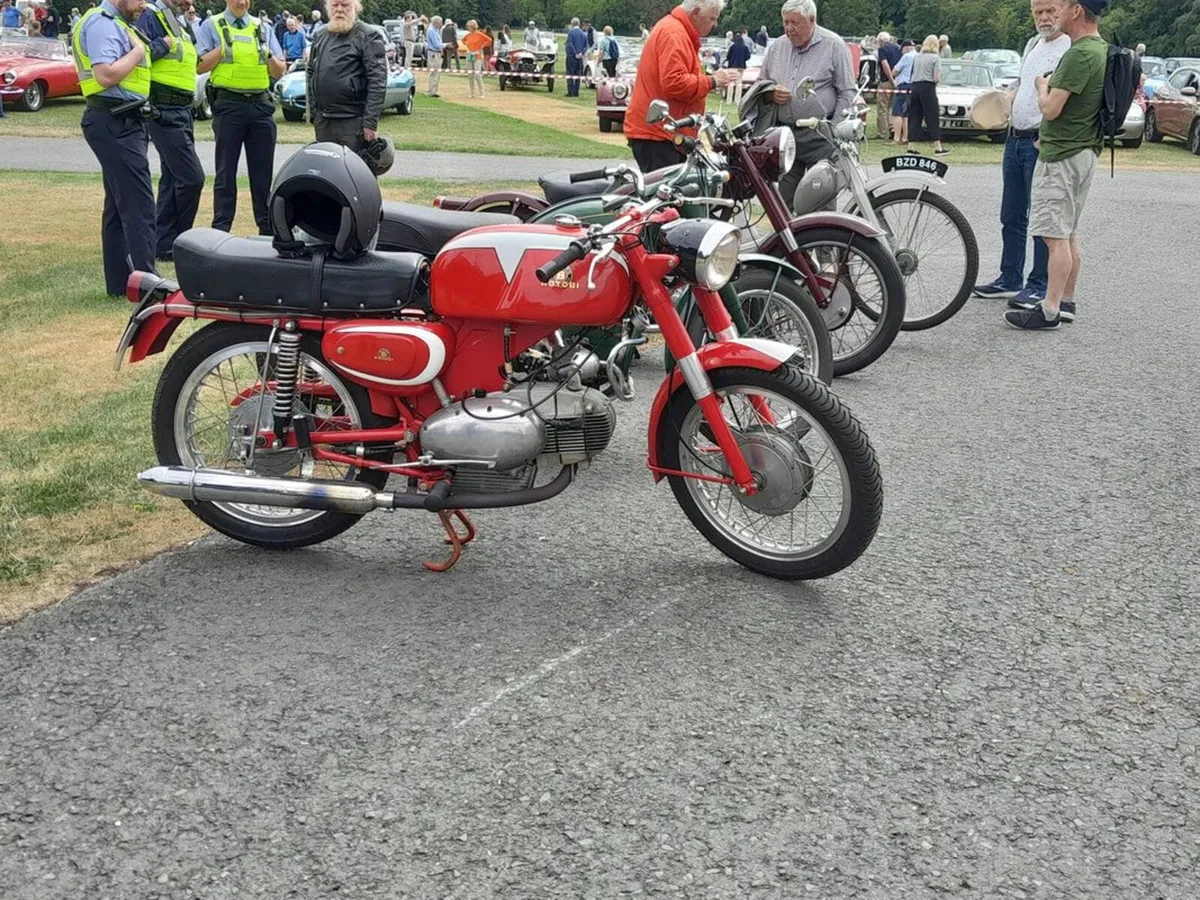 RIAC Picnic in The Park - MG - Ford - Fiat - Rover - Image 4