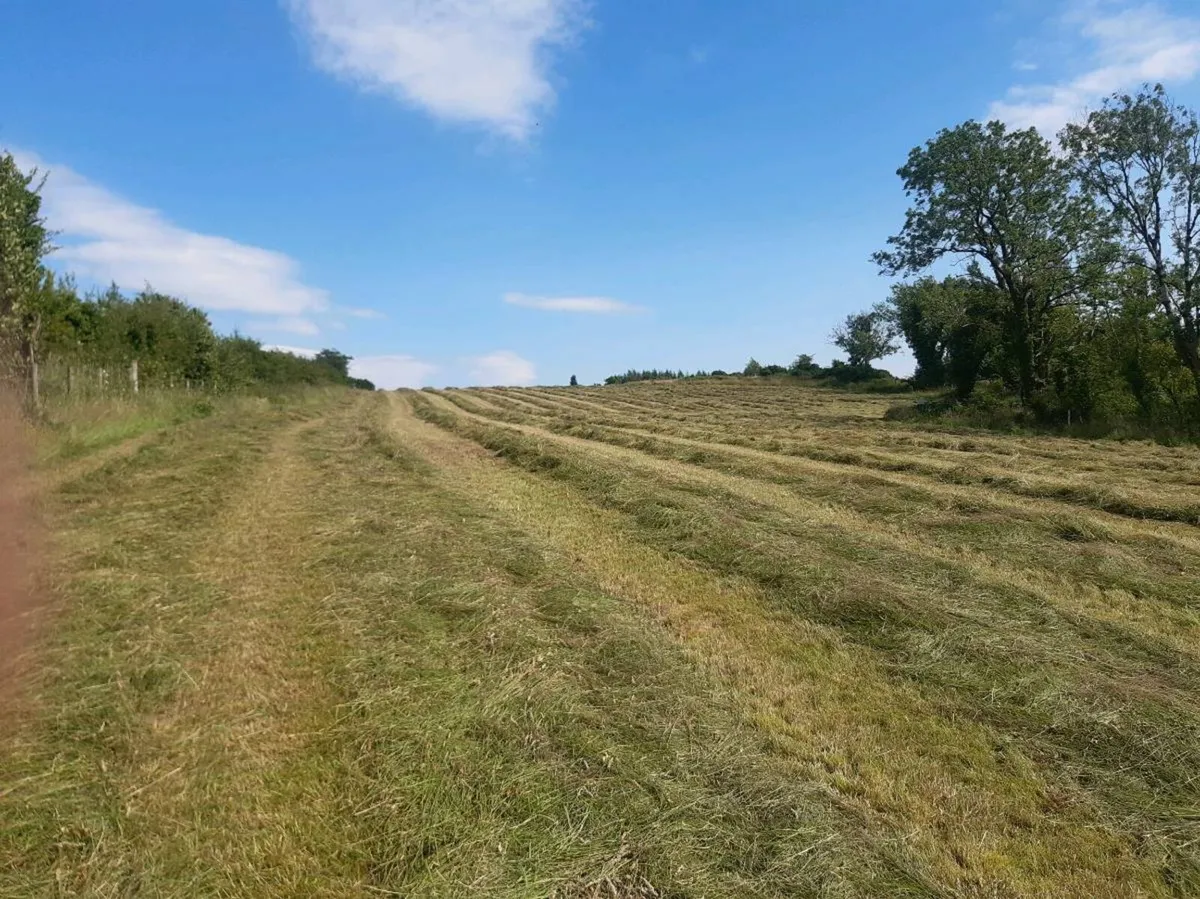 Silage bales - Image 4