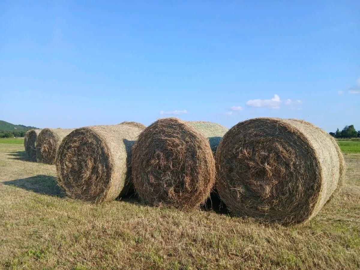 Round hay bales €30 - Image 1