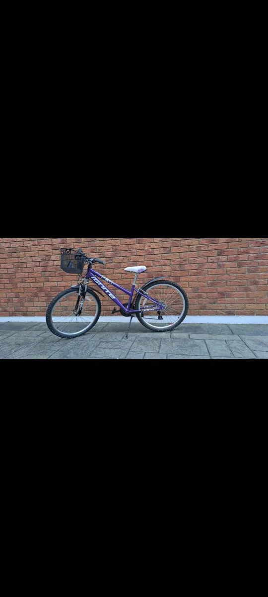 Childs ,adolesecents bike - Image 2