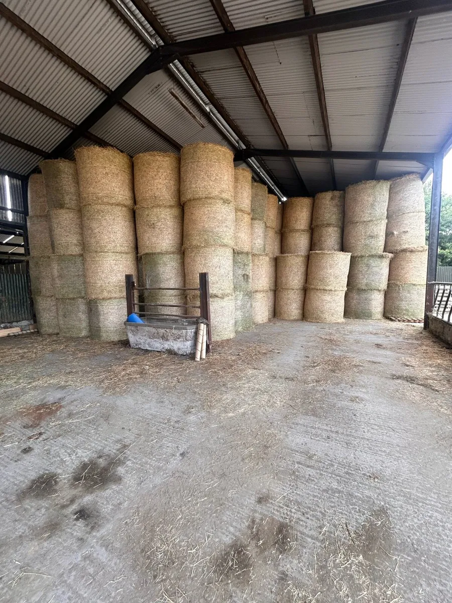 Quality hay for sale - Image 3