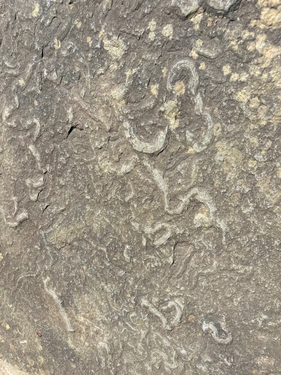 Reclaimed Liscanor Limestone Slabs - Image 4