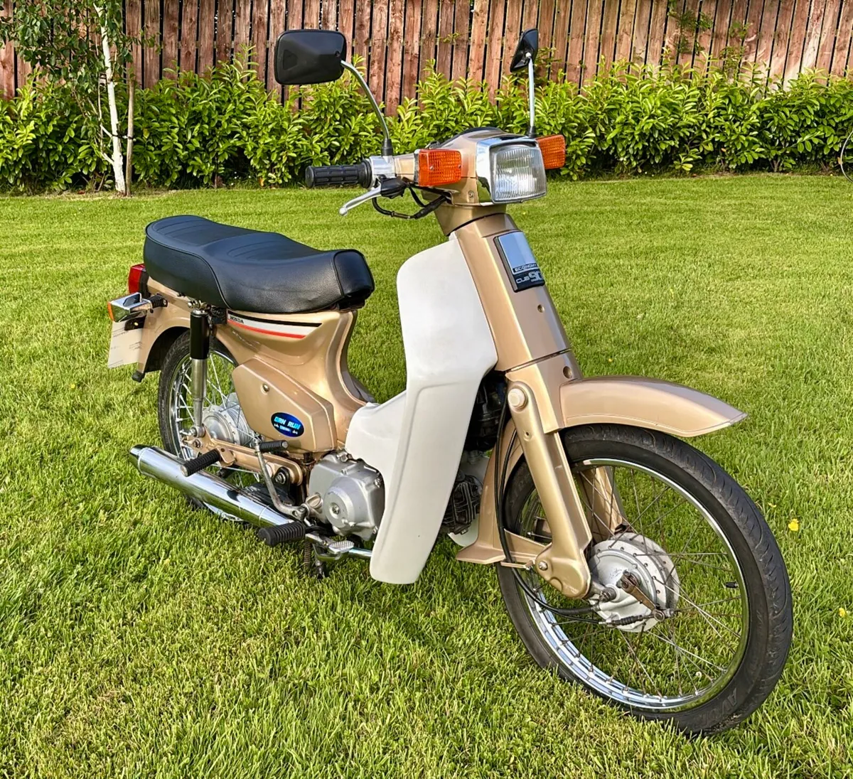 1986 Honda cub 90 - Image 3