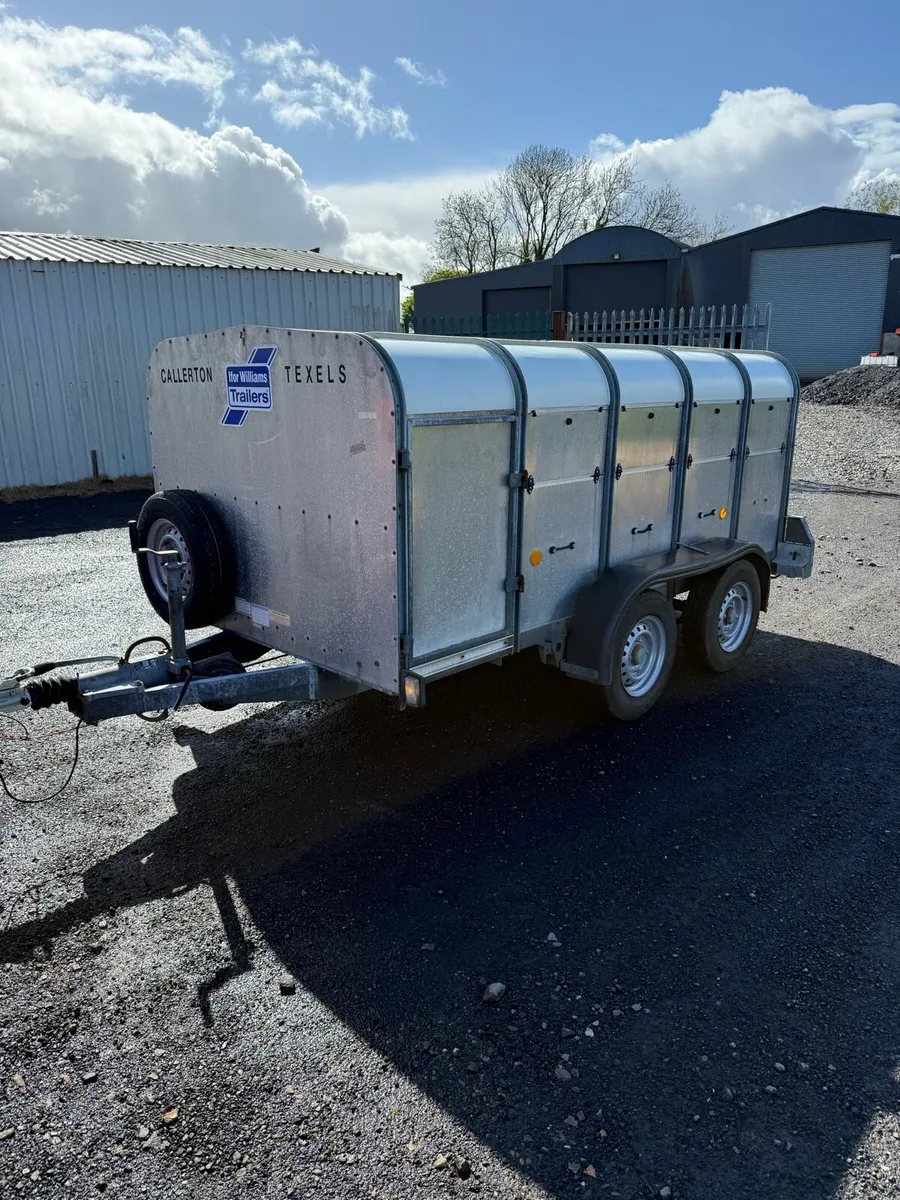 Calf trailer - Image 1