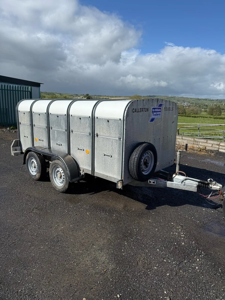 Calf trailer - Image 2