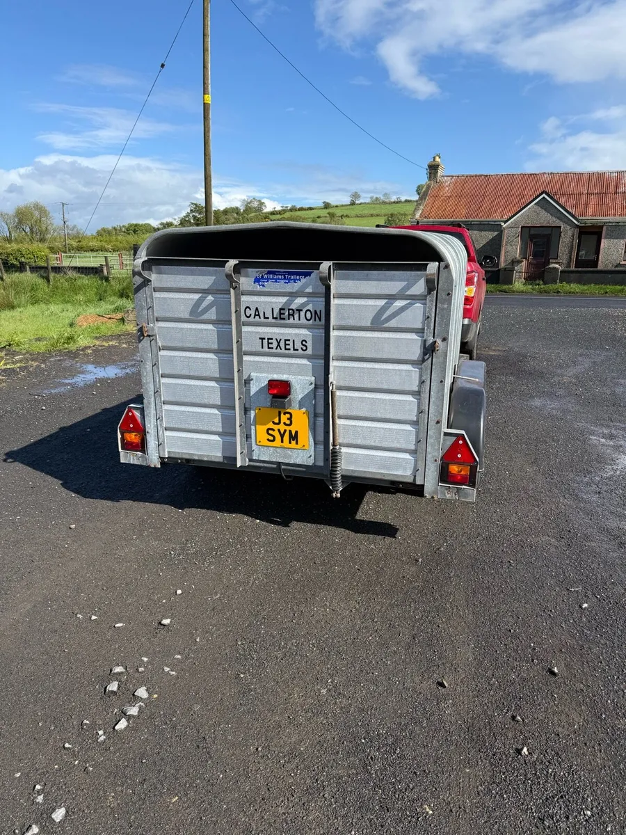 Calf trailer - Image 3