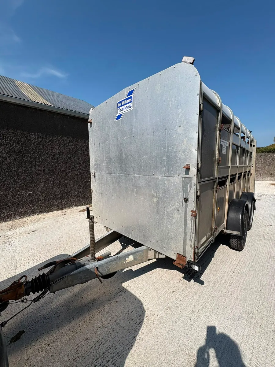 Ivor Williams cattle trailer - Image 1