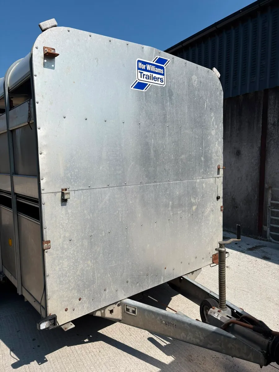 Ivor Williams cattle trailer - Image 2