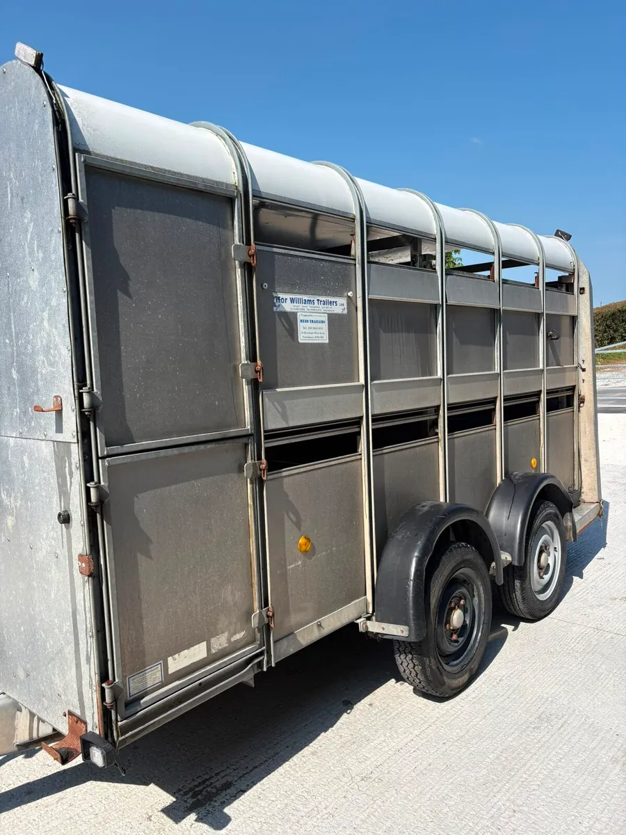 Ivor Williams cattle trailer - Image 3