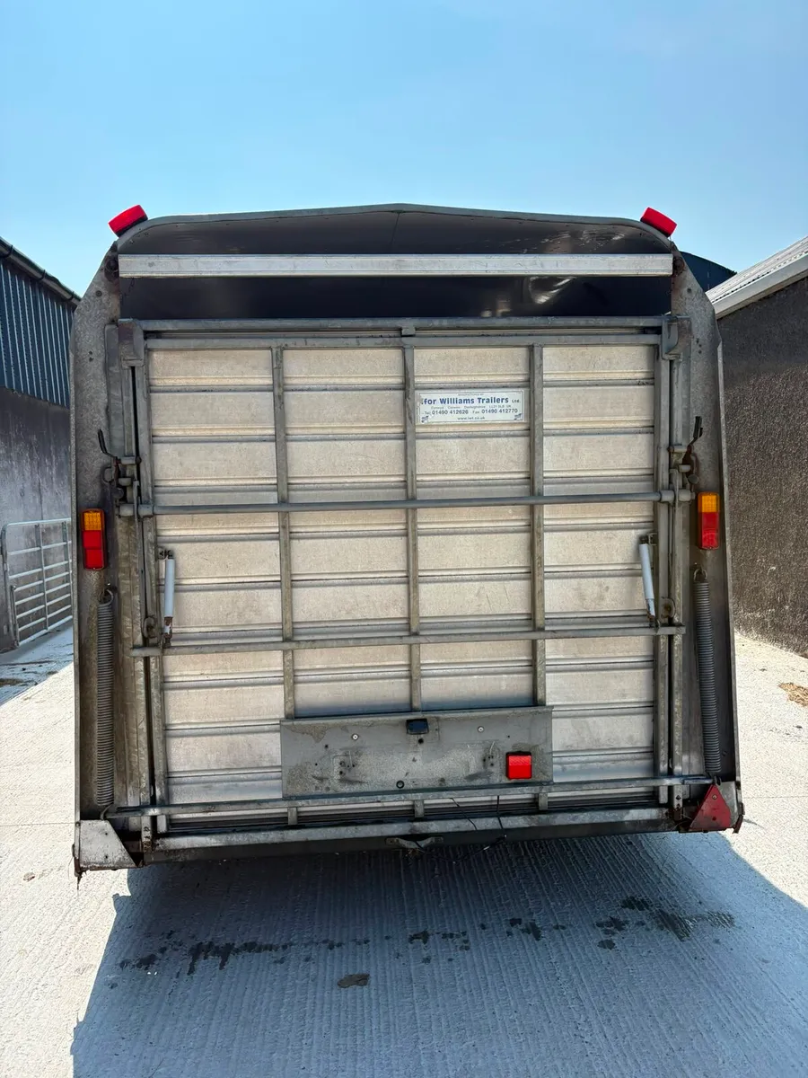 Ivor Williams cattle trailer - Image 4