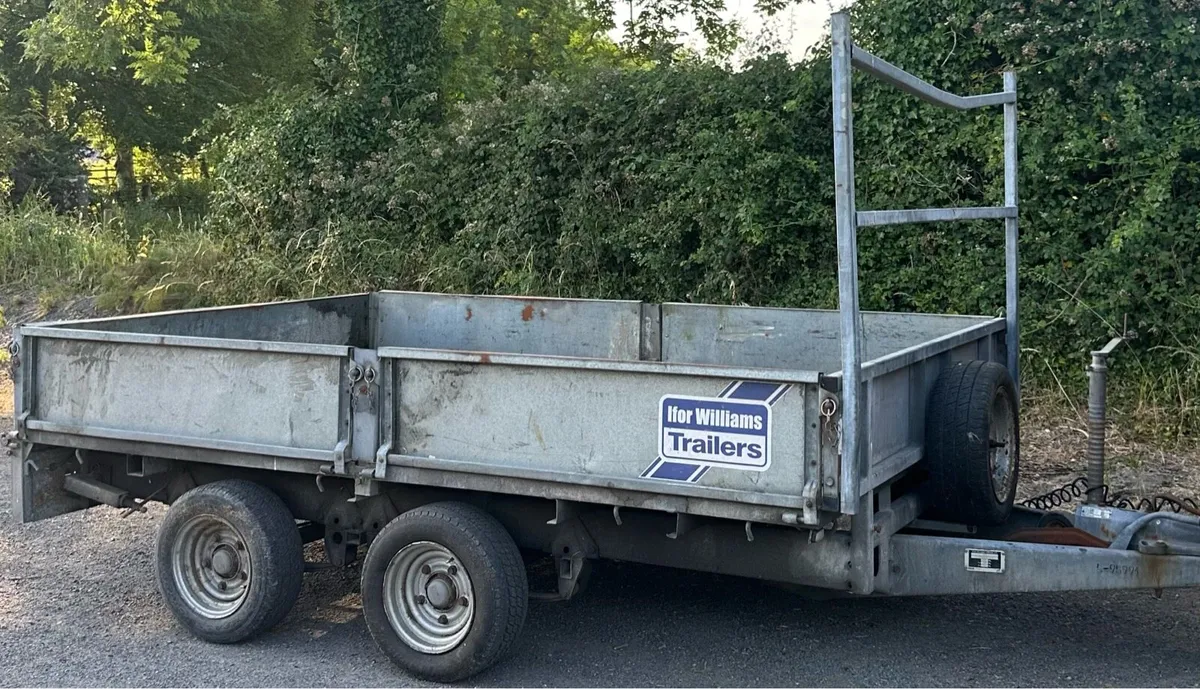 10 x 6 x 6 Ifor Williams Trailer - Image 2